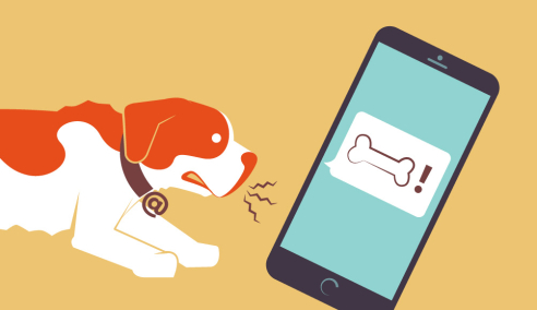 Smishing – Phishing per Textnachricht auf dem Smartphone